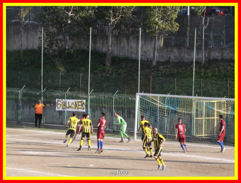 190324 Cepha_Acquedolci 273_tn.jpg